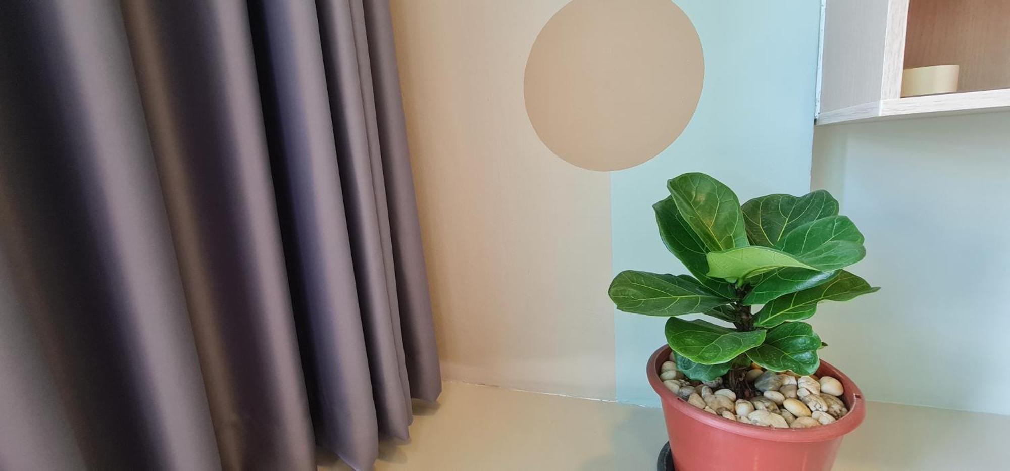 Cosy Arihomestay 2br1bth