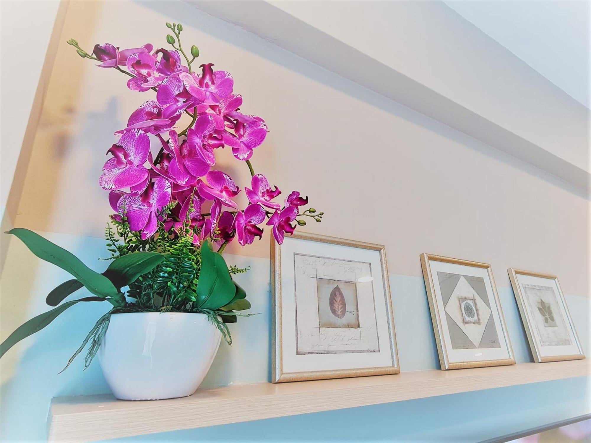 Apartment Cosy Arihomestay 2br1bth *